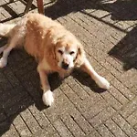 Woelkchen *